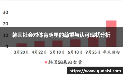 韩国社会对体育明星的尊重与认可现状分析